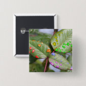 プライドと滴ること 缶バッジ (正面&裏面)