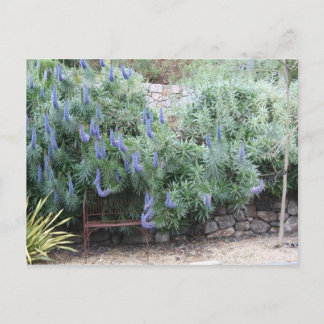 プライドマデイラ葉書 ポストカード