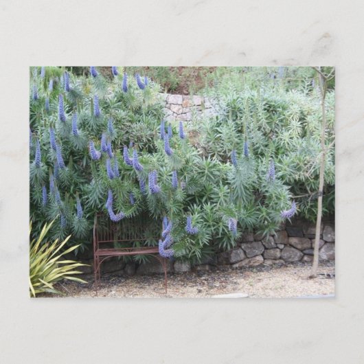 プライドマデイラ葉書 ポストカード (正面)