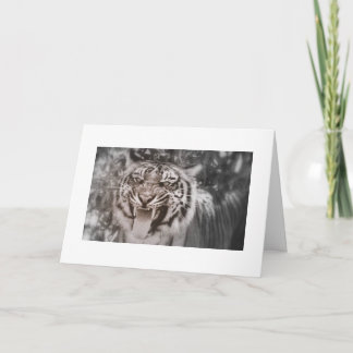 プライドロック カード