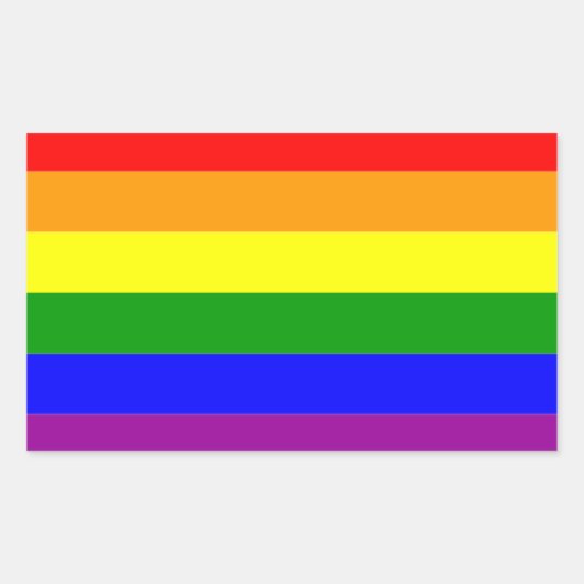 プライド国旗LGBTQIA+レインボーカラー 長方形シール (正面)