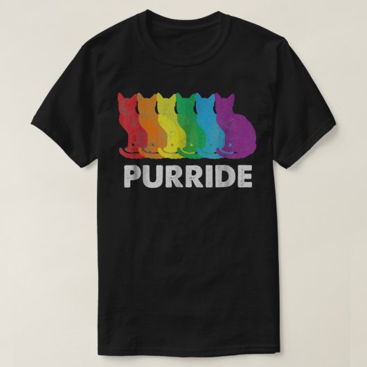 プライド猫愛好家の誇り月間 ゲイの権利 レインボーC Tシャツ (デザイン正面)