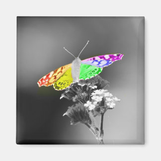 プライド飛んでいる付き マグネット