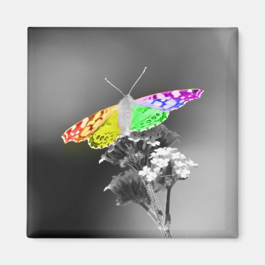 プライド飛んでいる付き マグネット (正面)