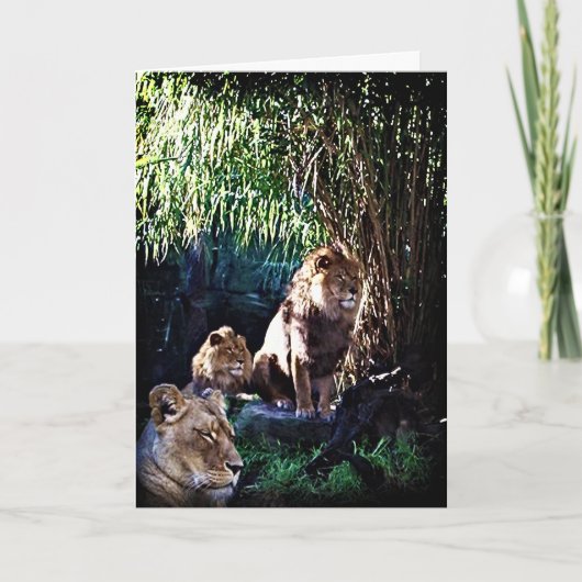 プライド、グリーティングカード カード (正面)