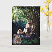 プライド、グリーティングカード カード (黄色い花)