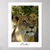 プライド! ポスター (正面)