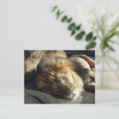 プライド ポストカード (スタンド正面)