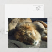 プライド ポストカード (正面/裏面)