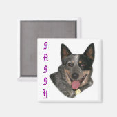 プライド マグネット (正面/裏面)