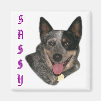 プライド マグネット