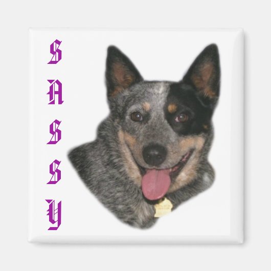 プライド マグネット (正面)