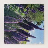 プライド・マデイラ ジグソーパズル (横)