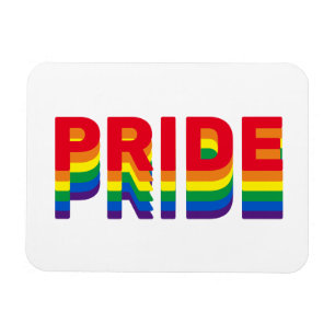 プライドlgbt lgbtq同性愛者ゲイレインボーレトロカラー マグネット
