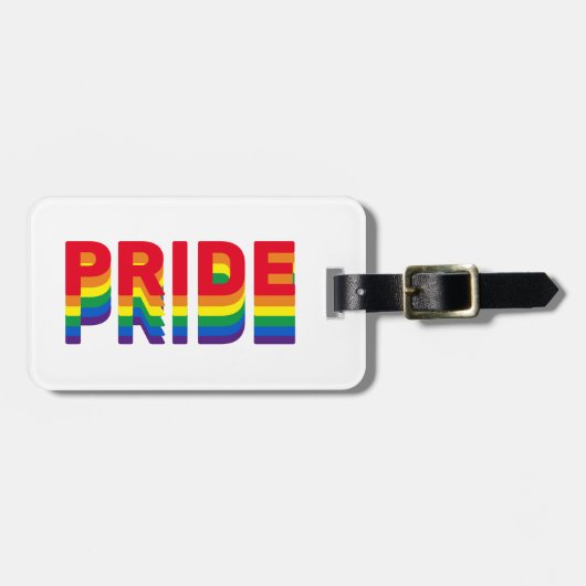 プライドlgbt lgbtq同性愛者ゲイレインボーレトロカラー ラゲッジタグ (正面横)