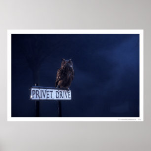 プライベートドライブ ポスター