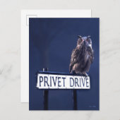 プライベートドライブ ポストカード (正面/裏面)