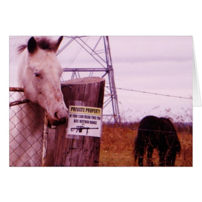 プライベートプロパティラベンダーホース (正面横)