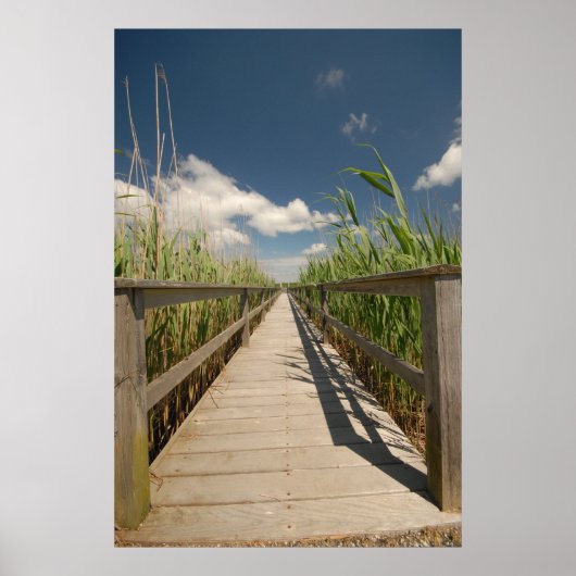 プライベート波止場 ポスター (正面)