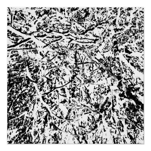 プライマル調和 ポスター (正面)