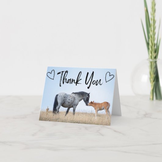 プライヤマウンテンワイルドホースサンキューカード サンキューカード (正面)