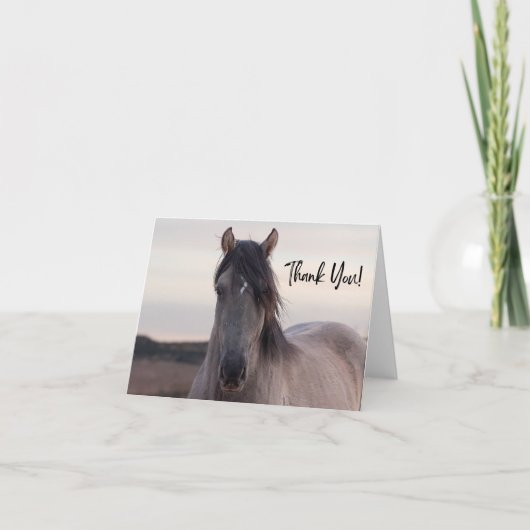 プライヤマウンテンワイルドホースサンキューカード サンキューカード (正面)