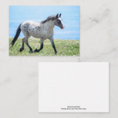 プライヤマウンテンワイルドマスタングマイカ/マトスカ ノートカード (正面/裏面)