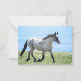 プライヤマウンテンワイルドマスタングマイカ/マトスカ ノートカード