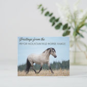 プライヤマウンテンワイルドマスタング:クラウドのプライド ポストカード (スタンド正面)