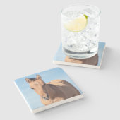 プライヤマウンテンワイルドムスタンフォール ストーンコースター (横)