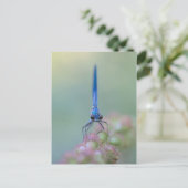 プラクチベル ポストカード (スタンド正面)