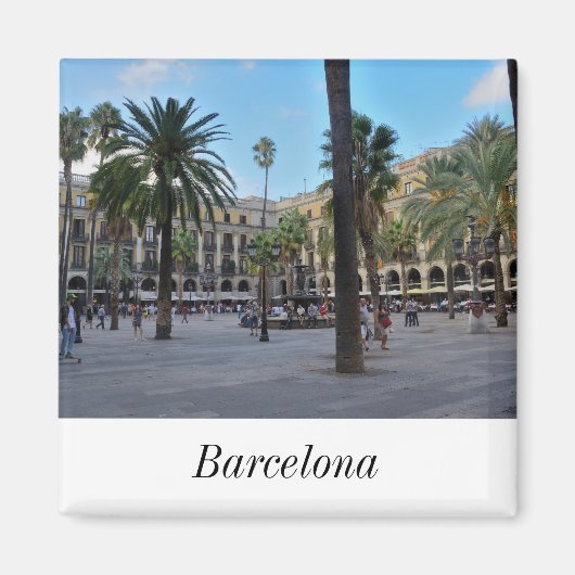 プラザ実在マグネット マグネット (正面)