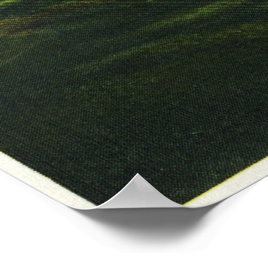 プラシッド湖の空中表示 ポスター (角)