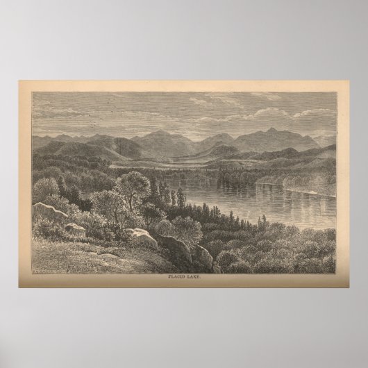 プラシッド湖 ポスター (正面)