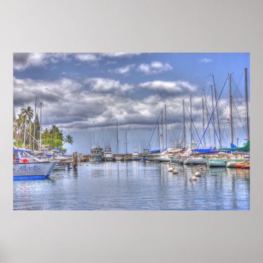 プラシドマウイハーバー ポスター (正面)