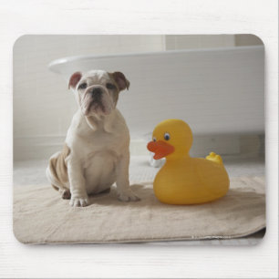 プラスチックアヒルが付いているマットの犬 マウスパッド