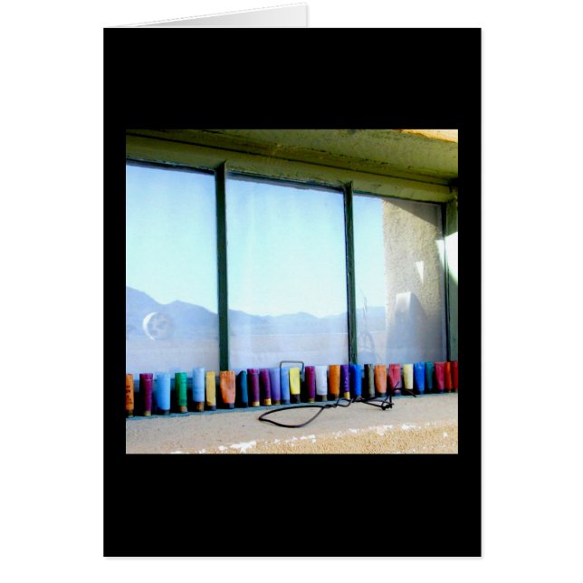 プラスチック弾丸の貝 (正面)