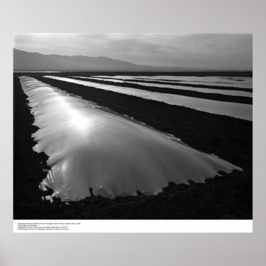 プラスチック燻蒸用カバー付きイチゴ畑 ポスター (正面)