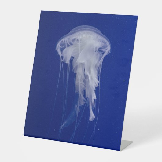プラスチック製ペデスタルサイン10"X12" 台座サイン (正面)