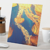 プラスチック製ペデスタルサイン10"X12" 台座サイン (インサイチュ)
