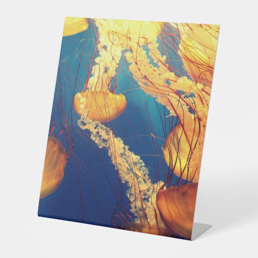 プラスチック製ペデスタルサイン10"X12" 台座サイン (正面)