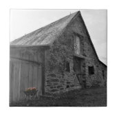 プラスチック過去タイルのウィスパー タイル (正面)