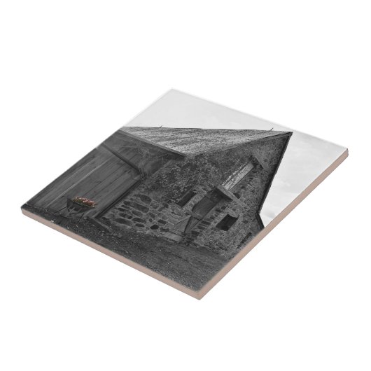 プラスチック過去タイルのウィスパー タイル (側面)