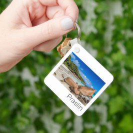 プラスリンセーシェルズアイランドアンセラツィオビーチギフト キーホルダー