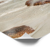 プラスリンセーシェルズアイランドアンセラツィオビーチギフト ポスター (コーナー)