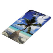 プラスリン島セーシェル島のヤシ マグネット (左側)