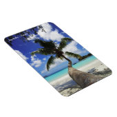 プラスリン島セーシェル島のヤシ マグネット (右側)