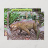 プラセリア – *恐竜 – 学のカード ポストカード (正面/裏面)