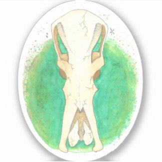 プラタイプススカル シール