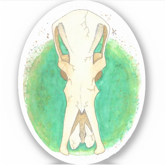 プラタイプススカル シール (正面)